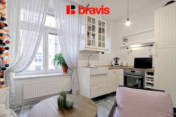 Prodej investičního bytu 1+kk, ulice Skořepka, Brno - Trnitá, sklep