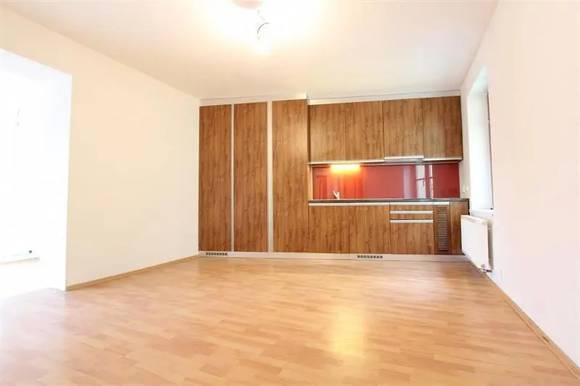 Podnájem velmi pěkného bytu 3+1, Brno - střed, ul. Pekařská, nezařízený, klimatizace, terasa