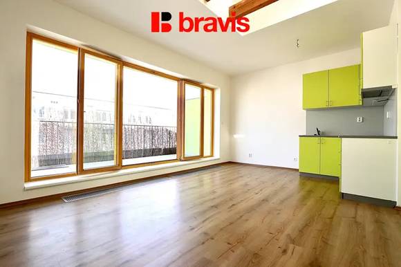 Pronájem velmi pěkného bytu 1+kk s terasou, Brno - Staré Brno, ul. Rybářská, nezařízený