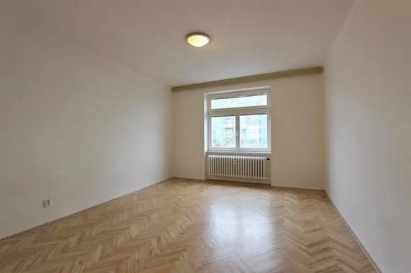 Pronájem bytu 1+1, Brno - střed, ul. Kounicova, balkon, částečně zařízený