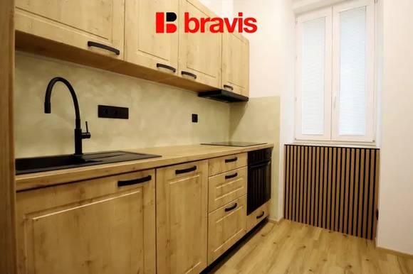 Pronájem bytu/atelieru 1+1, ulice Husovická, Brno - Husovice, po rekonstrukci, sklep