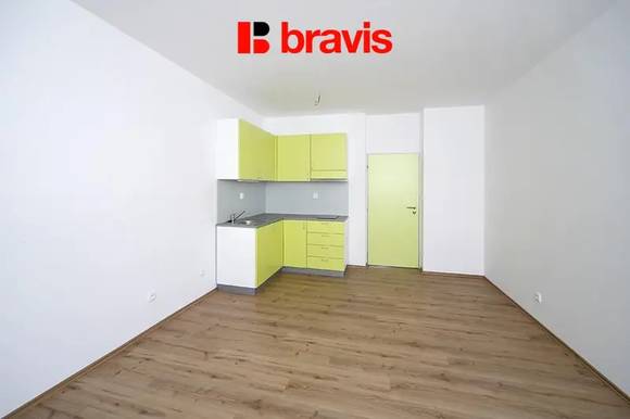 Pronájem velmi pěkného bytu 1+kk, Brno - Staré Brno, ul. Rybářská, nezařízený