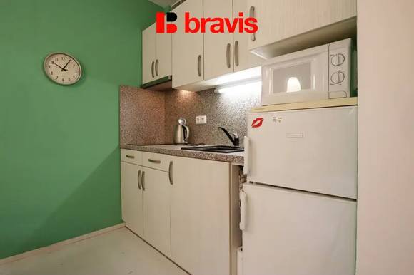 Pronájem bytu 1+kk, ul. Kamenná, Brno - Štýřice, terasa, zařízený