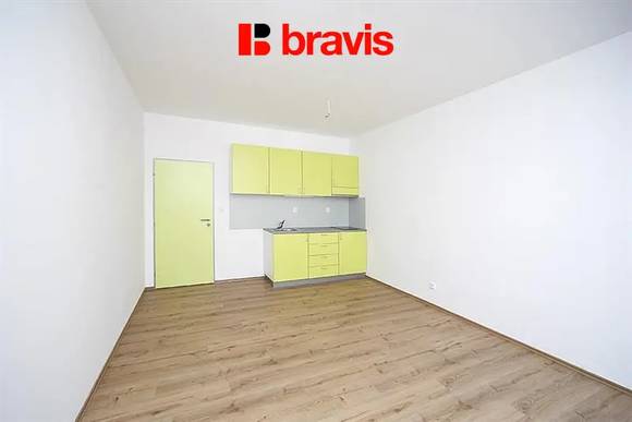 Pronájem velmi pěkného bytu 1+kk, Brno - Staré Brno, ul. Rybářská, nezařízený