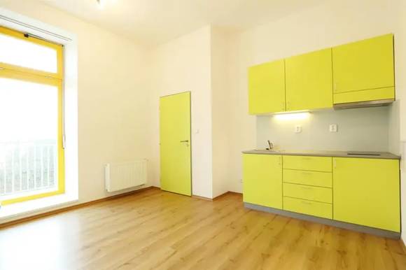Pronájem bytu 1+kk, Brno - Staré Brno, ul. Rybářská, nezařízený, bezproblémové parkování