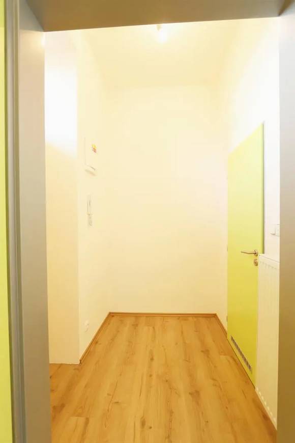 Pronájem bytu 1+kk, Brno - Staré Brno, ul. Rybářská, nezařízený, bezproblémové parkování