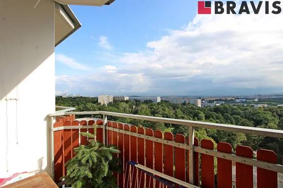 Pronájem bytu 1+1, ul. Loosova, Brno - Lesná, sklep, po rekonstrukci, zařízený