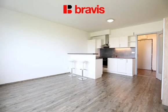 Pronájem bytu/ateliéru 1+kk, ul. tř. gen. Píky, Brno - Černá pole