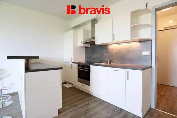 Pronájem bytu/ateliéru 1+kk, ul. tř. gen. Píky, Brno - Černá pole