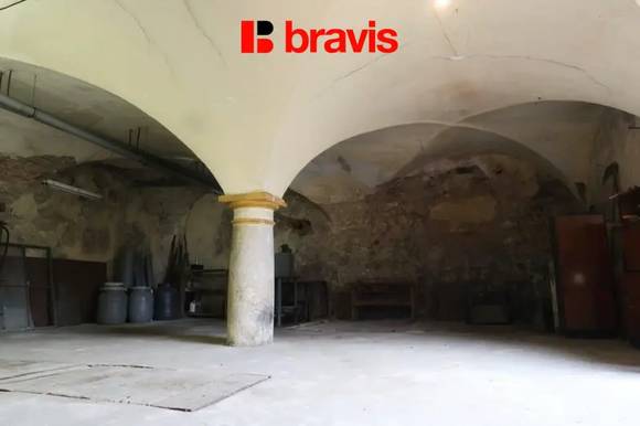 Prodej historického mlýna a obytného domu s pozemkem, obec Želešice, okres Brno-venkov