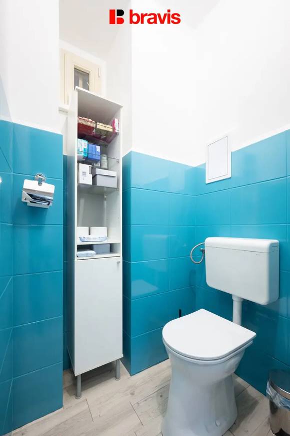 Sale of spacious 3+kk apartment, Kotlářská Street, Brno - Veveří, basement