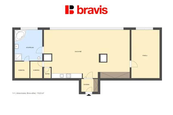 Pronájem bytu 2+kk ul. Antonínská, Brno střed,  šatna, komora, 122 m2