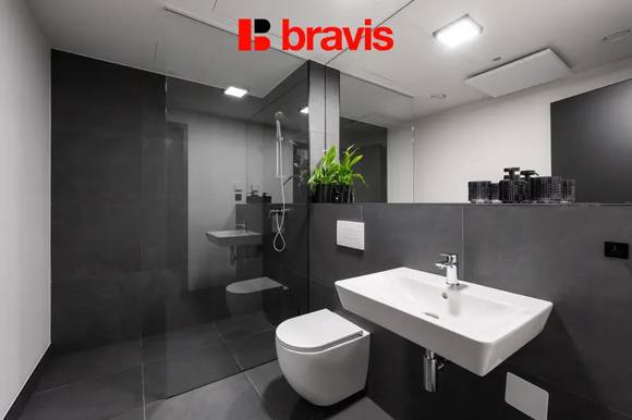 Rent flats 1+KT 35 m², Brno - Žabovřesky