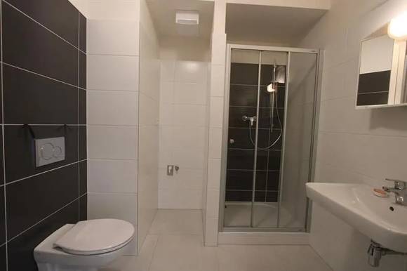 Pronájem bytu 1+kk, ulice Firkušného, Brno - lokalita Sadová, zahrádka