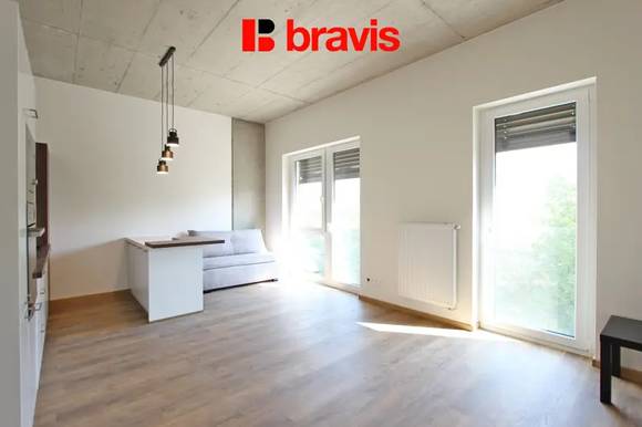 Pronájem jednotky 1+kk, ulice Bohunická, Brno - Horní Heršpice, sklep, parkování