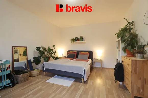 Pronájem bytu 1+1, ul. Křídlovická, Brno - střed, výborná dostupnost, sklep, balkon s výhledem do vnitrobloku