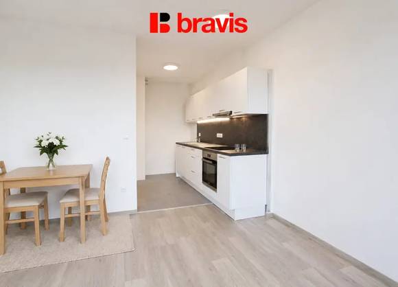 Prodej hezkého bytu 1+kk s balkónem 42m2, ul. Bělohorská, Brno - Židenice, parkování, sklep