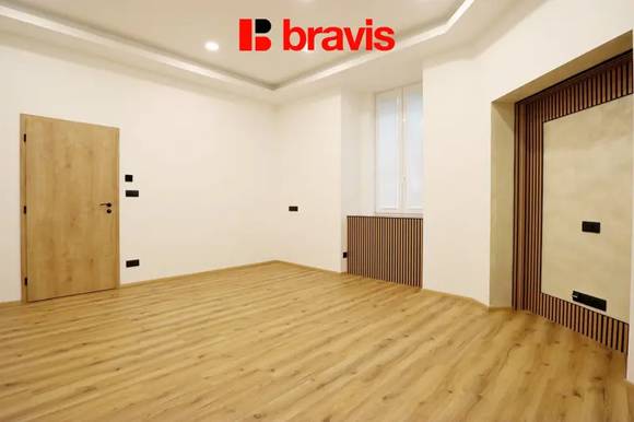 Pronájem bytu/atelieru 1+1, ulice Husovická, Brno - Husovice, po rekonstrukci, sklep