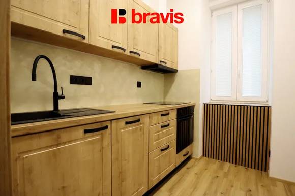 Pronájem bytu/atelieru 1+1, ulice Husovická, Brno - Husovice, po rekonstrukci, sklep