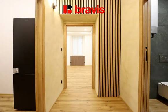 Pronájem bytu/atelieru 1+1, ulice Husovická, Brno - Husovice, po rekonstrukci, sklep