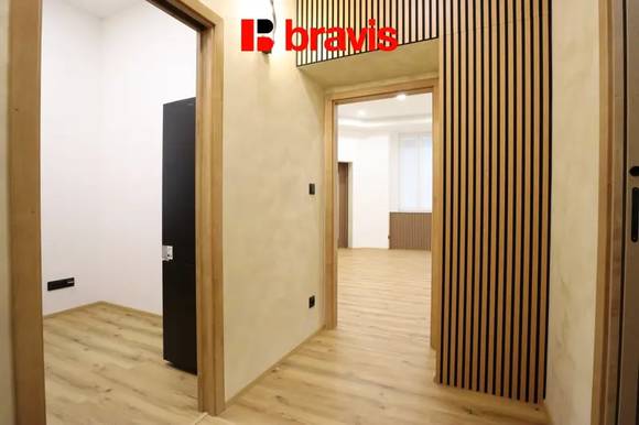 Pronájem bytu/atelieru 1+1, ulice Husovická, Brno - Husovice, po rekonstrukci, sklep