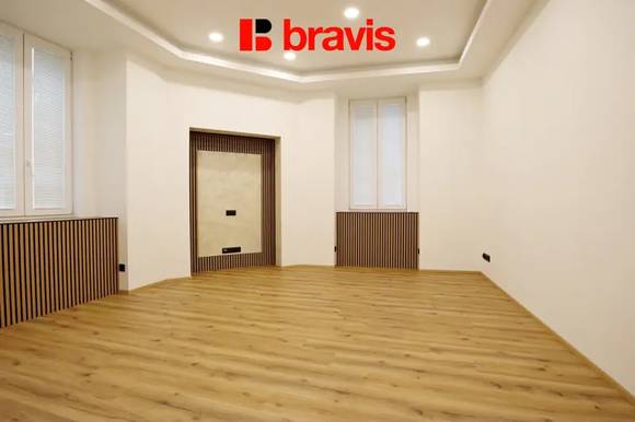Pronájem bytu/atelieru 1+1, ulice Husovická, Brno - Husovice, po rekonstrukci, sklep