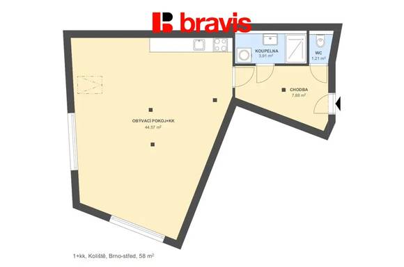 Pronájem bytu 1+kk, 58 m², Brno - střed, ulice Koliště, podkrovní byt, klimatizace, podlahové vytápění