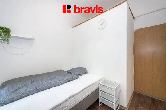 Prodej bytu 2+1, ul. Křížkovského, Staré Brno, prostorný sklep