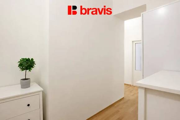 Pronájem bytu 2+kk, ul. Antonínská, Brno - Veveří