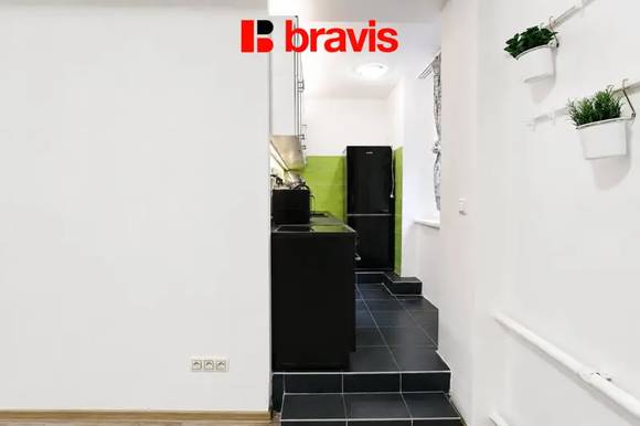 Pronájem bytu 1+kk, ulice Gorkého, Brno - Veveří, suterén, po rekonstrukci, klidná lokalita, sklep