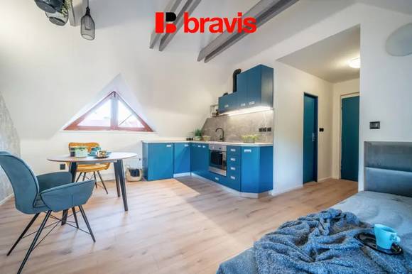 Pronájem hezkého bytu, 39 m2 ul. Červený kopec, Brno - Štýřice, šatna, internet