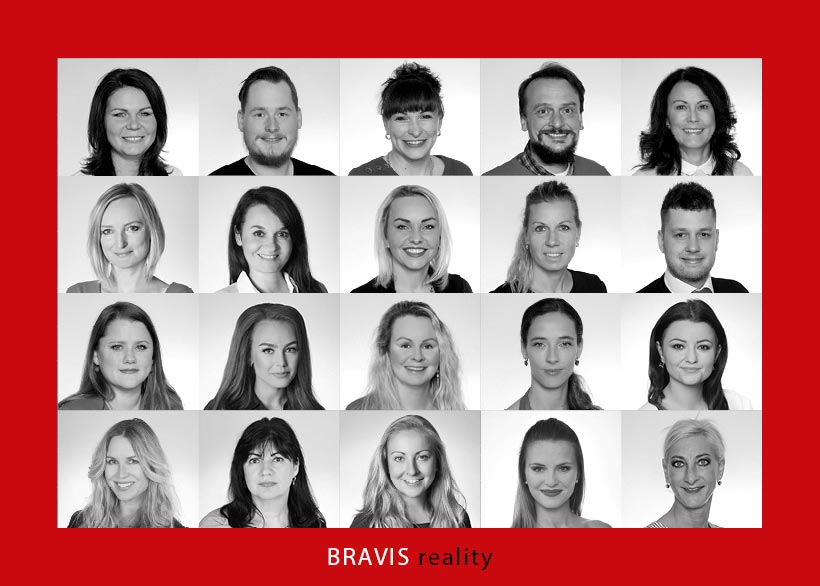 Bravis Team