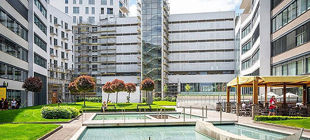 Pronájem komerčních nemovitostí