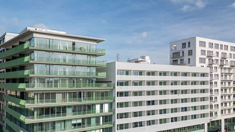 Developerská činnost